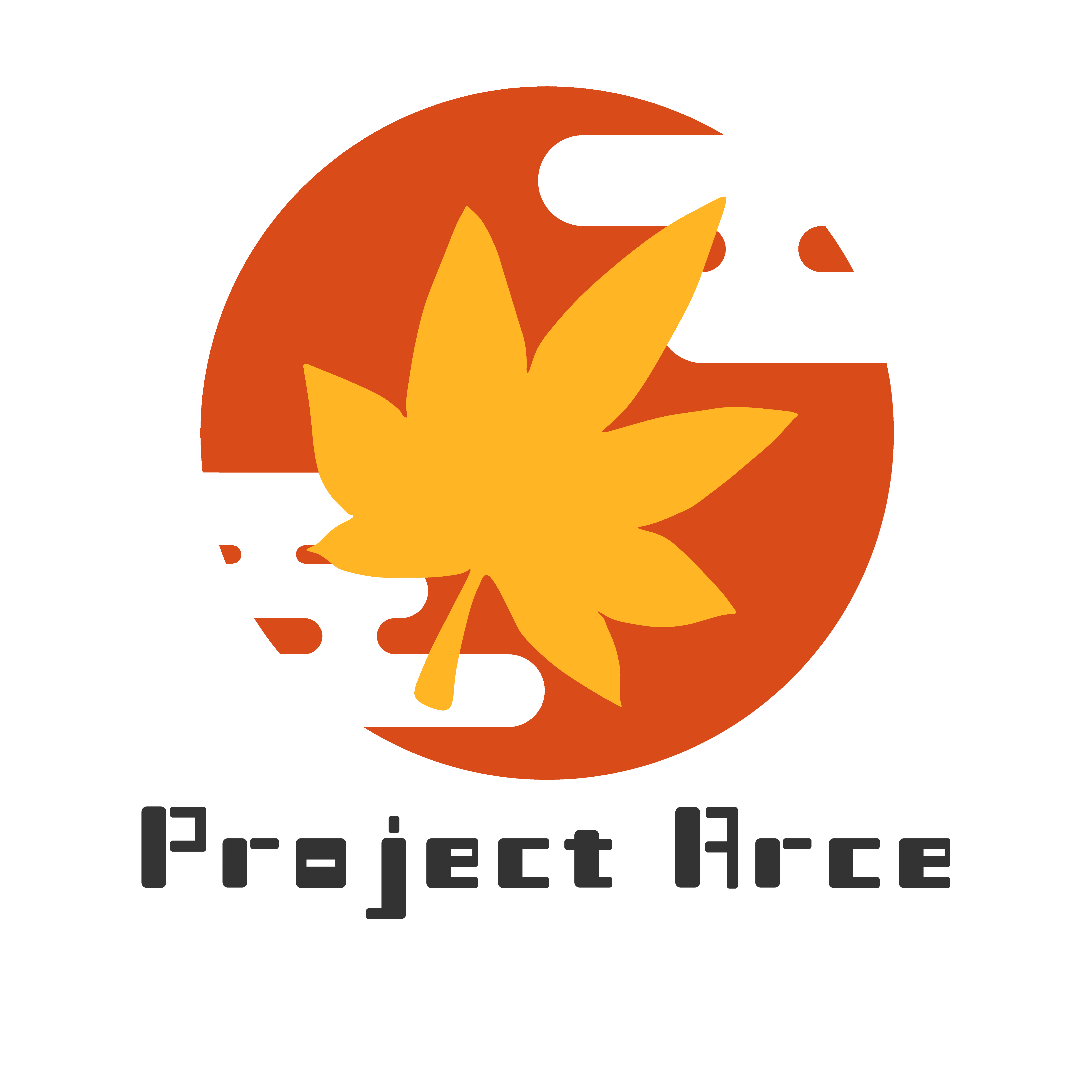 PROJECT ARCE